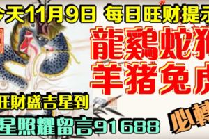今天11月9日,每日旺財提示：龍雞蛇狗，羊豬兔虎。運旺財盛吉星到！財星照耀留言91688必轉！