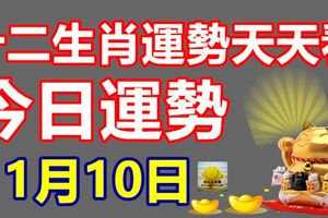 十二生肖運勢天天看，今日運勢：11月10日