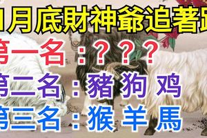 11月底迎好運，運氣爆棚，財神爺追著跑的生肖