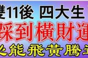 雙11後踩到橫財運，必能飛黃騰達的生肖