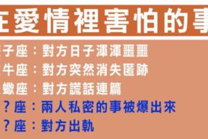 《我並不勇敢》十二星座在愛情裡最擔心受怕的事！別讓自己在愛情裡那麼卑微！