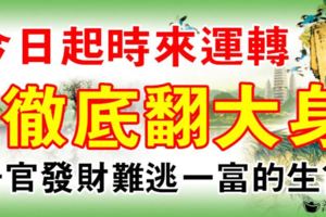 今日起時來運轉，徹底翻大身，陞官發財難逃一富的生肖