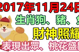 2017年11月24日生肖狗、豬、兔財神照耀、表現出眾、桃花盛開！