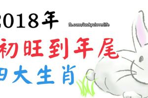 2018年能從年初旺到年尾的四大生肖