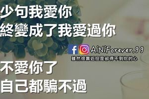 多少句我愛你，最終變成了我愛過你，說不愛你了，連自己都騙不過