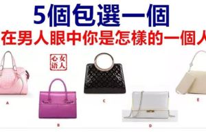 5個包選一個，測在男人眼中你是怎樣的一個人？