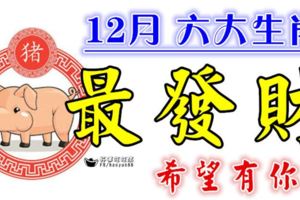 12月【最發財】的是這六個生肖，希望有你！