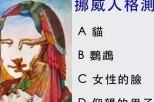 心理測試：這張圖第一感覺，你第一眼看到什麼？