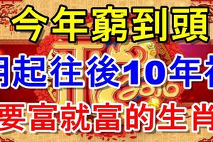 今年窮到頭，明起往後10年裡，財神坐鎮家中，說富就富的生肖！