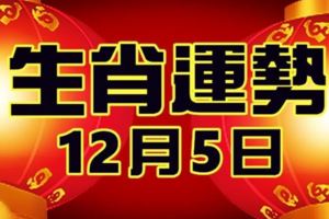 12月5日生肖運勢，小投資就換來鉅額財富，財運來的很快要把握