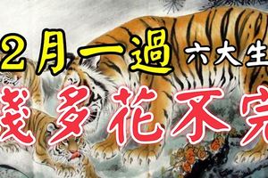 這6大生肖，12月一過，錢多的花不完！