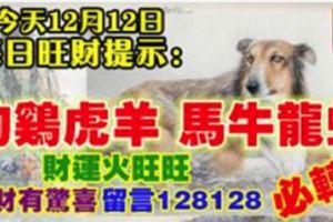 今天12月12日,每日旺財提示：狗雞虎羊，馬牛龍蛇。財運火旺旺！錢財有驚喜留言128128必轉