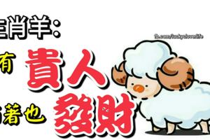 生肖羊：你有「貴人」相助，就算躺著也能發財！