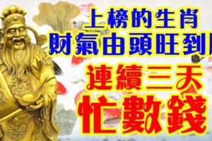 財氣由頭旺到腳，上榜的生肖連續三天忙數錢！