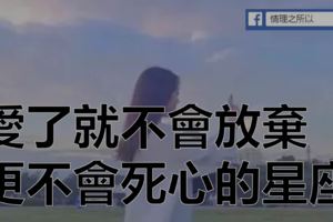 愛了就不會放棄，更不會死心的星座
