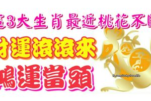 這3大生肖最近桃花不斷，財運滾滾而來，鴻運當頭