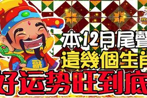 本12月尾聲，這幾個生肖好運勢旺到底