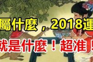 你屬什麼，2018運程就是什麼！超准！