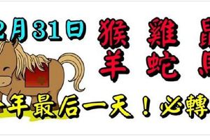 12月31日生肖運勢_猴、雞、鼠大吉