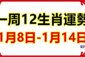 一周生肖運勢播報（1月8日—1月14日)