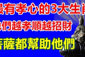 最有孝心的3大生肖，他們越孝順越招財，菩薩都幫助他們