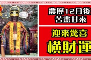 農曆12月後，苦盡甘來，迎來驚喜橫財運的三大生肖