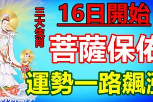 16日開始菩薩保佑，財神自來，幾大生肖運勢一路飆漲，不缺錢