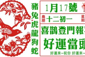 十二月初一，喜鵲登門報喜，好運當頭，由窮轉富