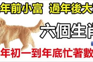 過年前小富、過年後大富的6個生肖，大年初一到年底忙著數錢！