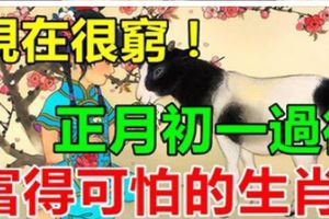 現在很窮！正月初一過後，富得可怕的五大生肖！