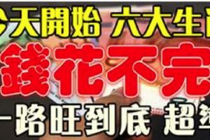 今天開始，這六大生肖必有橫財進口袋，錢花不完~一路旺到底！