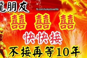 龍朋友：囍！囍！囍！快快接，不接再等10年！