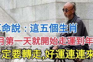 算命說：這五個生肖，2月第一天就開始走好運到年底，一定要轉走，好運連連來！