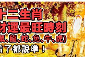 12生肖財運最旺時刻（鼠、龍、蛇、兔、牛、虎）看了都說准！