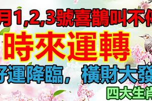 2月1,2,3號喜鵲叫不停，這4大生肖時來運轉，好運降臨，橫財大發