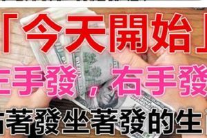 今天開始，左手發右手發，站著發坐著發的生肖！
