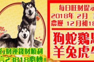 今天2月3日,每日旺財提示：狗蛇雞馬，羊兔虎牛。大行財運錢財順！留言23818必轉！