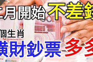 二月開始「不差錢」，橫財鈔票多多的3個生肖
