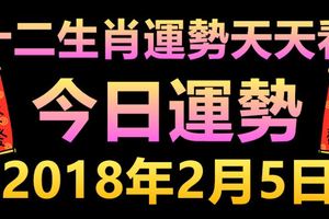 十二生肖運勢天天看，今日運勢：2018年2月5日