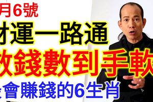 2月6號開始，財運一路通，數錢數到手軟，本月最會賺錢的6生肖