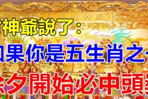 財神爺說了如果你是五生肖之一，除夕開始必中頭獎！