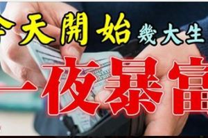 今天開始，最容易一夜暴富的生肖！這次一定有你！