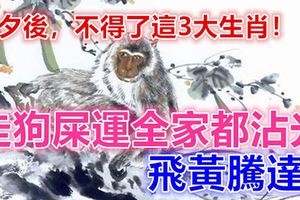 除夕後，不得了這3大生肖！走狗屎運全家都沾光，飛黃騰達！