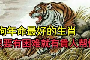 狗年命最好的生肖只要是有困難就會有貴人幫忙！