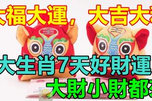 大福大運，大吉大利！3大生肖7天好財運，大財小財都來
