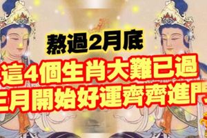 熬過2月底，這4個生肖大難已過，三月開始好運齊齊進門