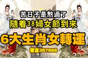 苦日子是熬過了，隨著38婦女節到來，6大生肖女轉運，來福！