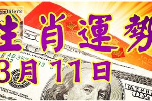 3月11日生肖運勢走向，財神馬上來！