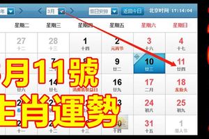 2018年3月11號生肖運勢