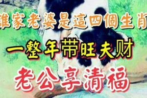 誰家老婆是這4個生肖的，1整年帶旺夫財，老公享清福